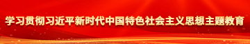 免费看鸡巴日逼学习贯彻习近平新时代中国特色社会主义思想主题教育